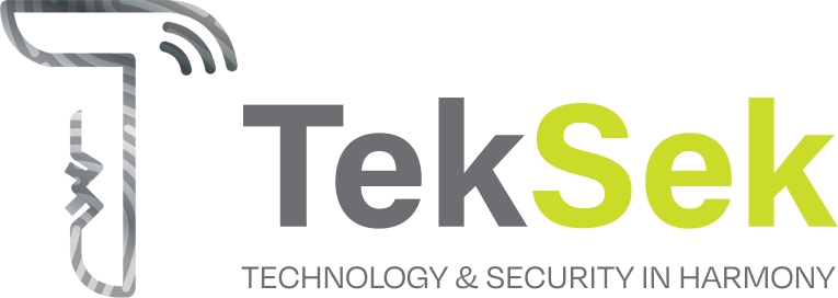 TekSek